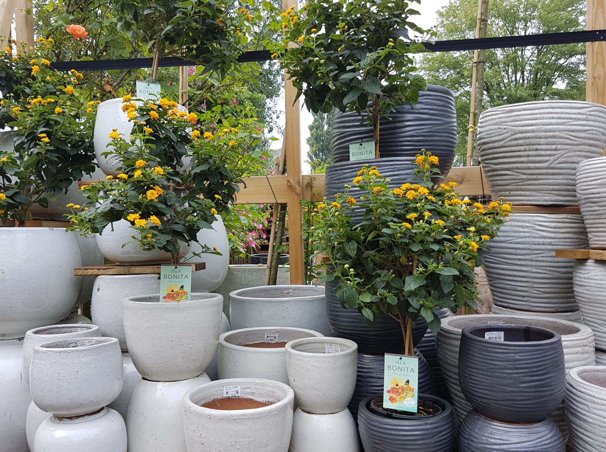 Witte sierpotten bij Tuincentrum Primavera, Haarlem