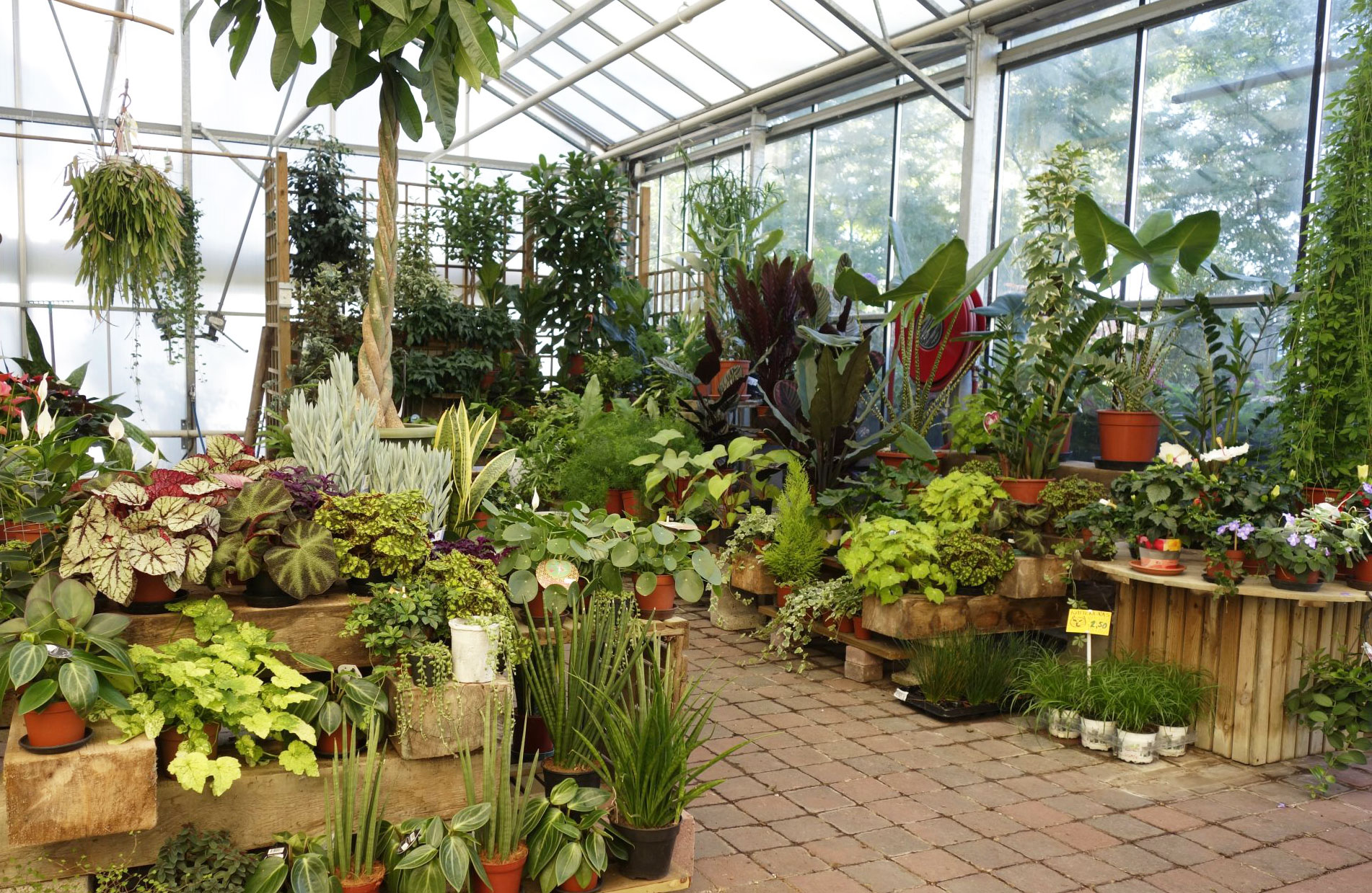 Kamerplanten bij Tuincentrum Primavera, Haarlem