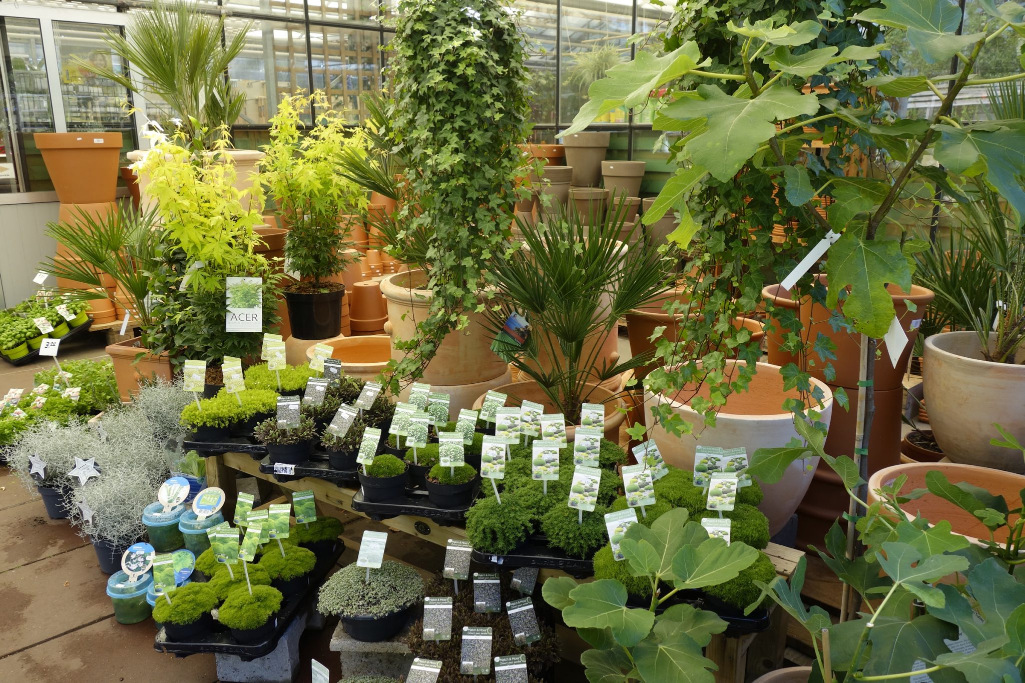 Kamerplanten bij Tuincentrum Primavera, Haarlem