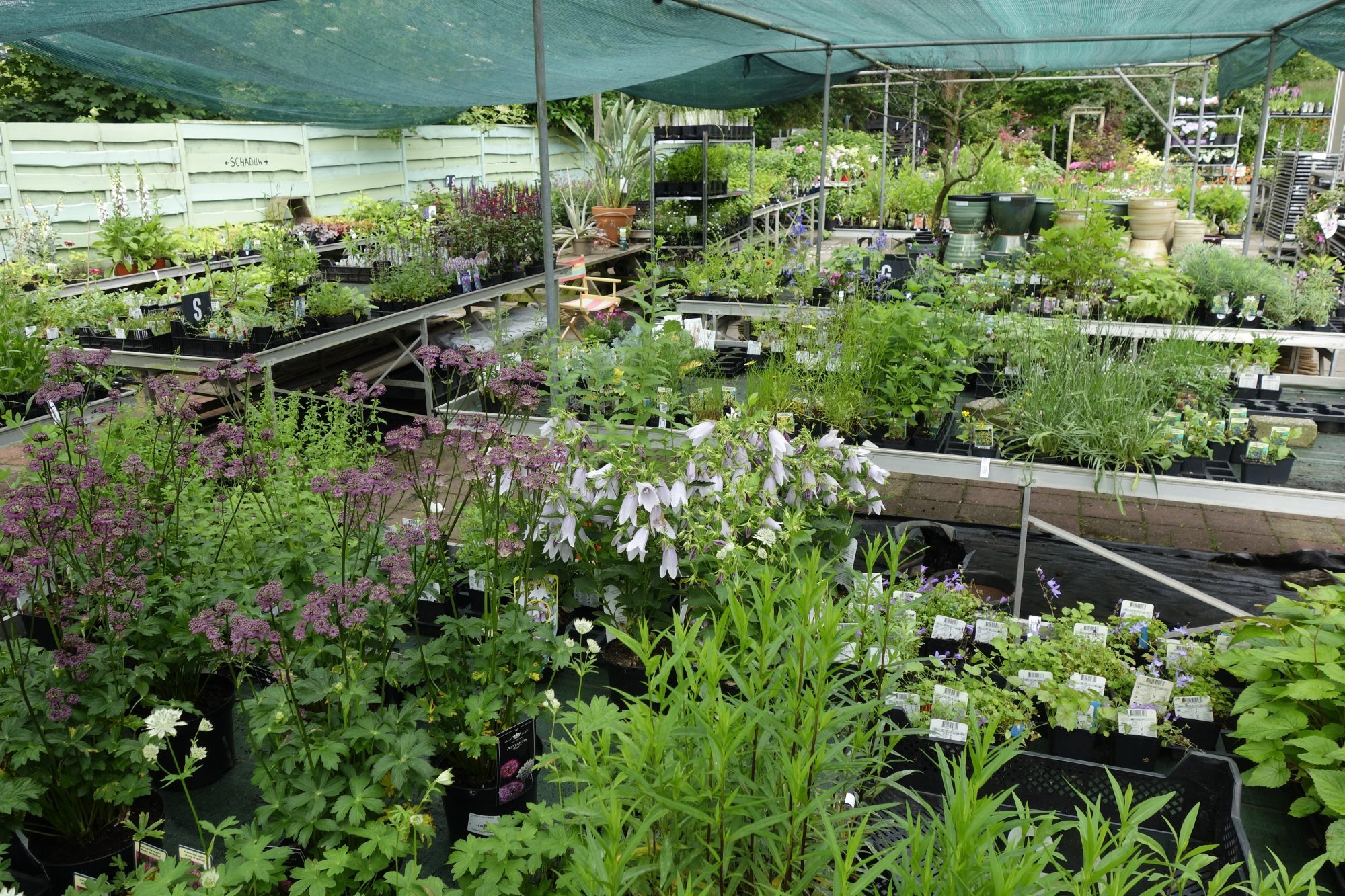 Planten bij Tuincentrum Primavera, Haarlem