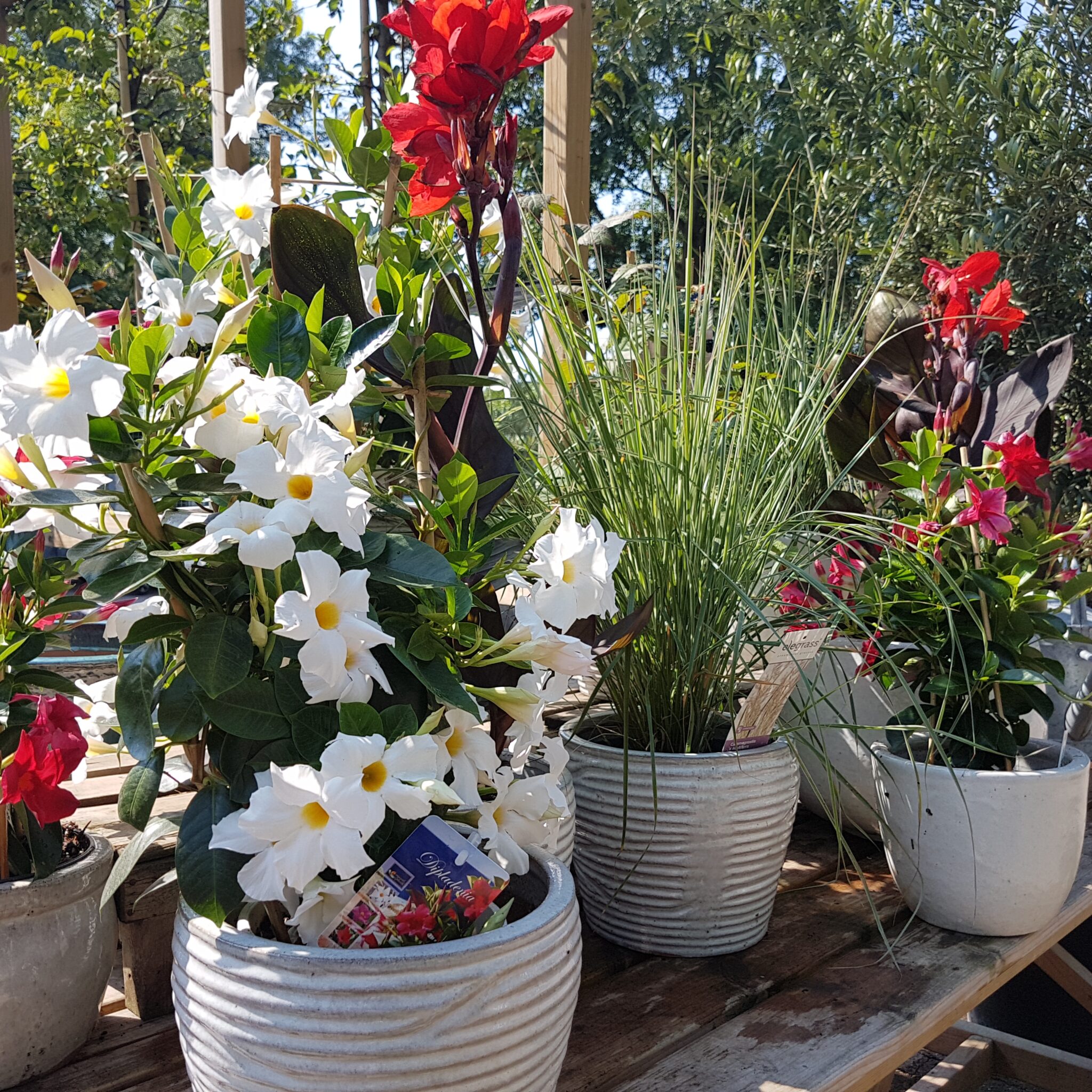 Grijze sierpotten bij Tuincentrum Primavera, Haarlem
